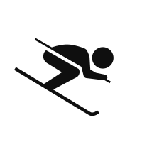 skier-icon skier
