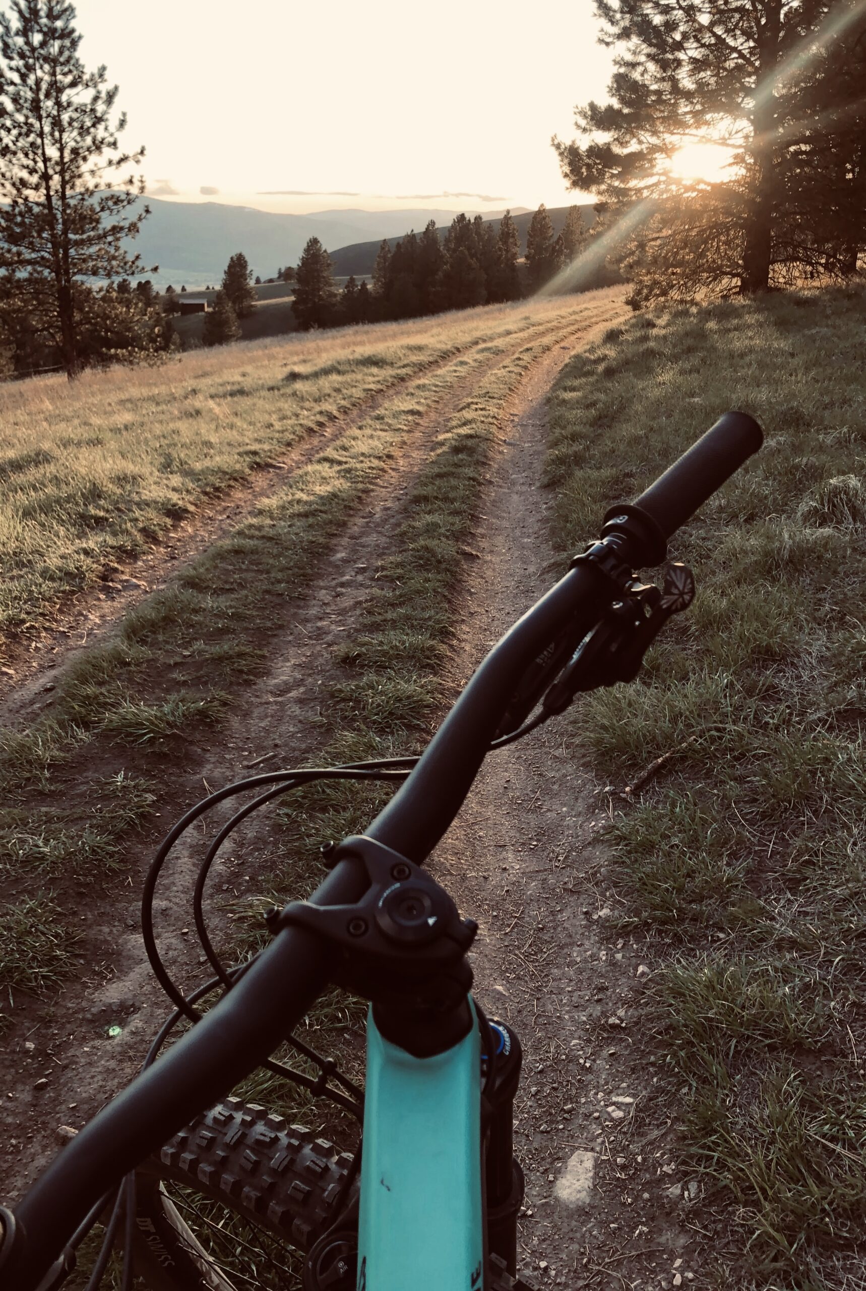 Singletrack